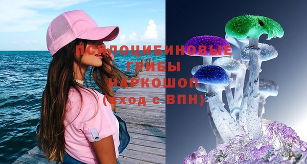 2c-b Павлово