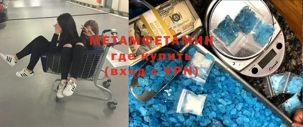 сатива Липки
