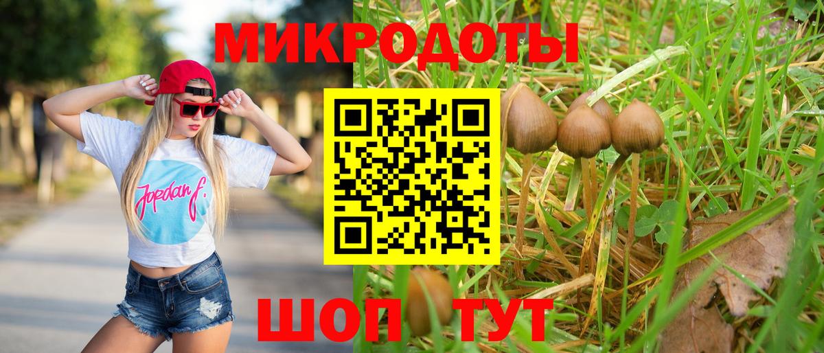 Галлюциногенные грибы ЛСД Тында